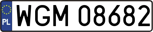 WGM08682