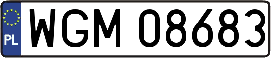 WGM08683