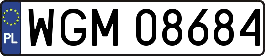 WGM08684