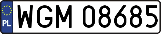 WGM08685