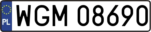 WGM08690