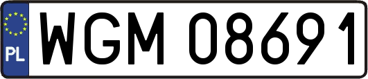 WGM08691