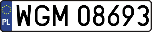 WGM08693