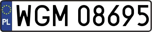 WGM08695