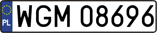 WGM08696