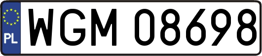 WGM08698
