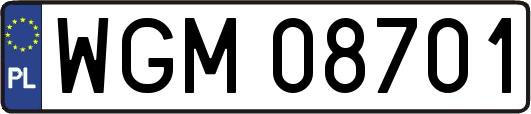 WGM08701