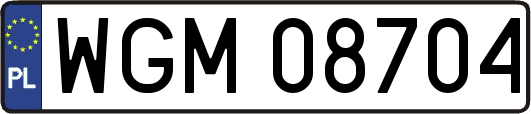 WGM08704