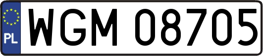 WGM08705