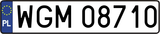 WGM08710