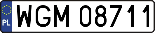 WGM08711