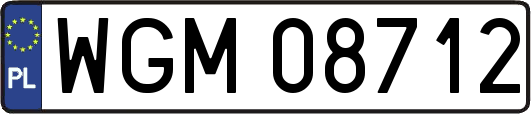 WGM08712