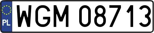 WGM08713