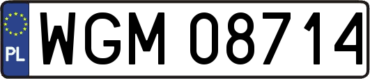 WGM08714