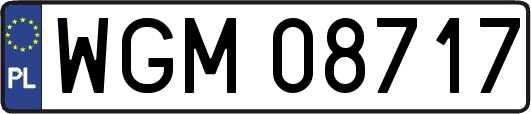 WGM08717