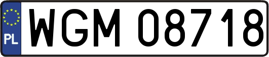 WGM08718