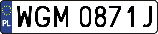 WGM0871J