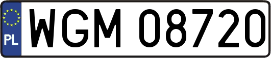 WGM08720
