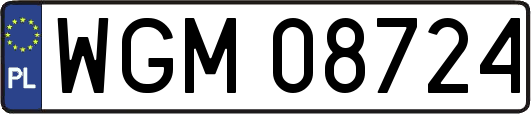 WGM08724