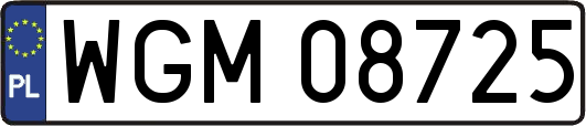 WGM08725