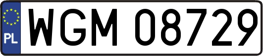 WGM08729