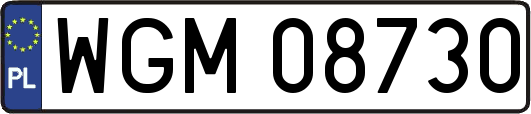 WGM08730
