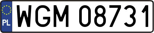 WGM08731