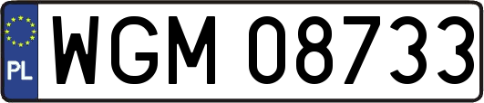 WGM08733