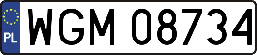 WGM08734