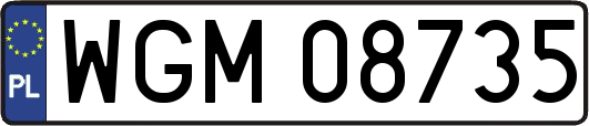 WGM08735