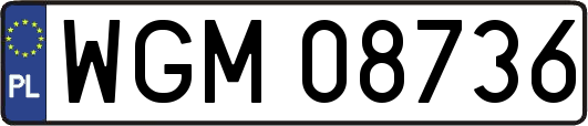 WGM08736
