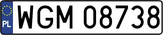 WGM08738