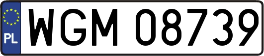 WGM08739
