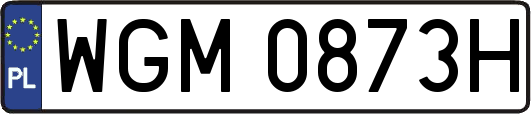 WGM0873H