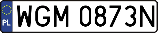 WGM0873N