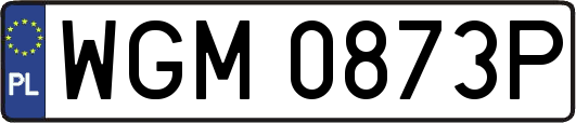 WGM0873P