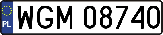 WGM08740