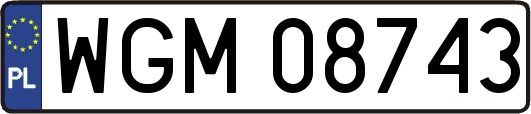 WGM08743