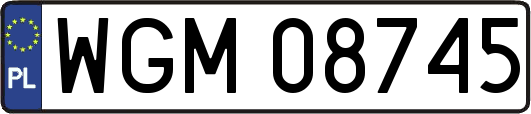 WGM08745