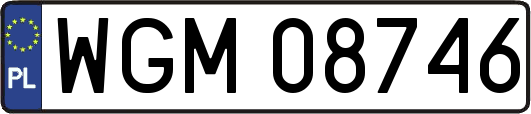 WGM08746