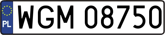 WGM08750