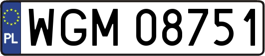 WGM08751