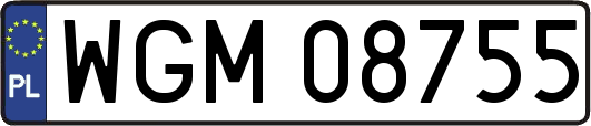 WGM08755