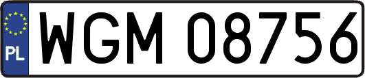 WGM08756