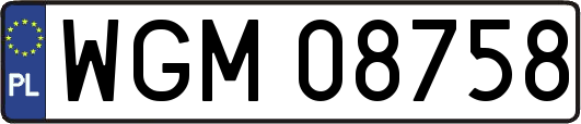 WGM08758