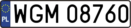 WGM08760
