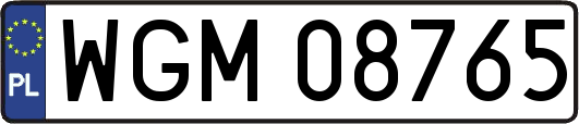 WGM08765