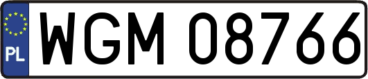 WGM08766