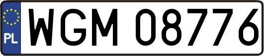 WGM08776