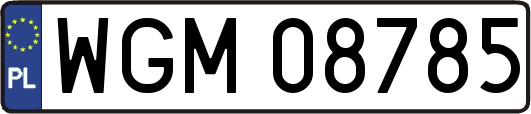 WGM08785